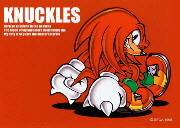 knuckles_sim.jpg